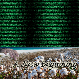 Miami campus buzzed